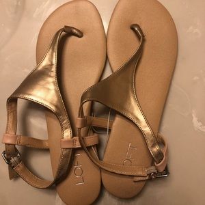 NWT Loft Tan Size Ten Sandals